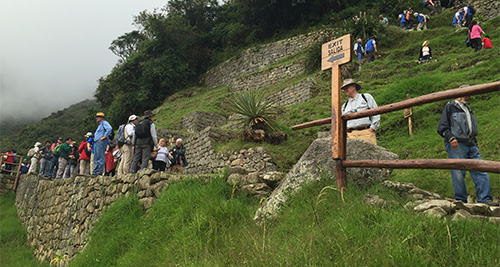 Discover Machu Picchu Citadel