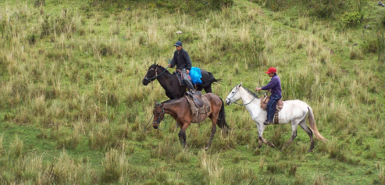 Horseback Riding Four Ruins in Cusco