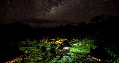 Guided Night Walks