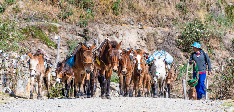 Caminata Salkantay a Machu Picchu 5 Días y 4 Noches