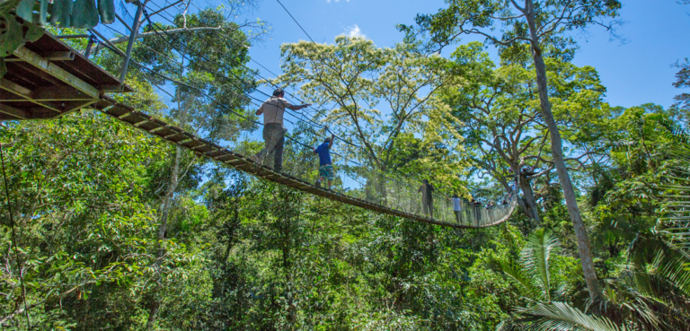 Tambopata, Lago Sandoval Y Collpa Chuncho de Loros 4 dias