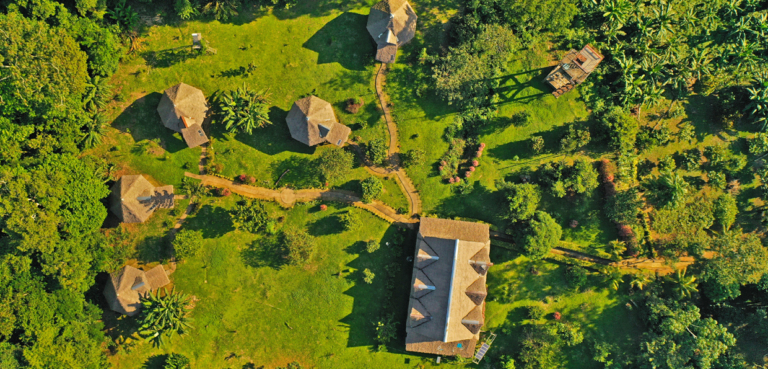 Tambopata, Lago Sandoval Y Collpa Chuncho de Loros 4 dias