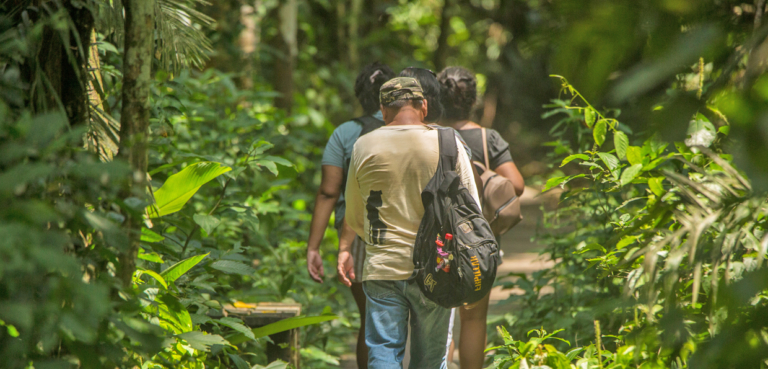 Tambopata, Lago Sandoval Y Collpa Chuncho de Loros 4 dias