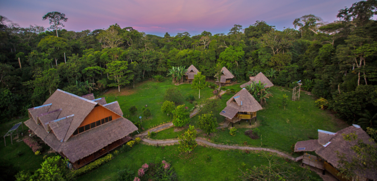 Tambopata, Lago Sandoval Y Collpa Chuncho de Loros 4 dias