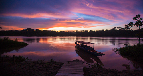 Noches en la Selva