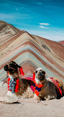 Montaña de Colores con Comidas