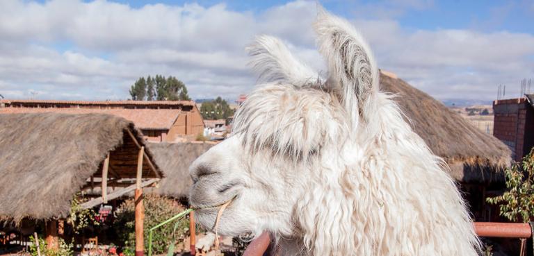 Sacred valley and Moray salt Mines