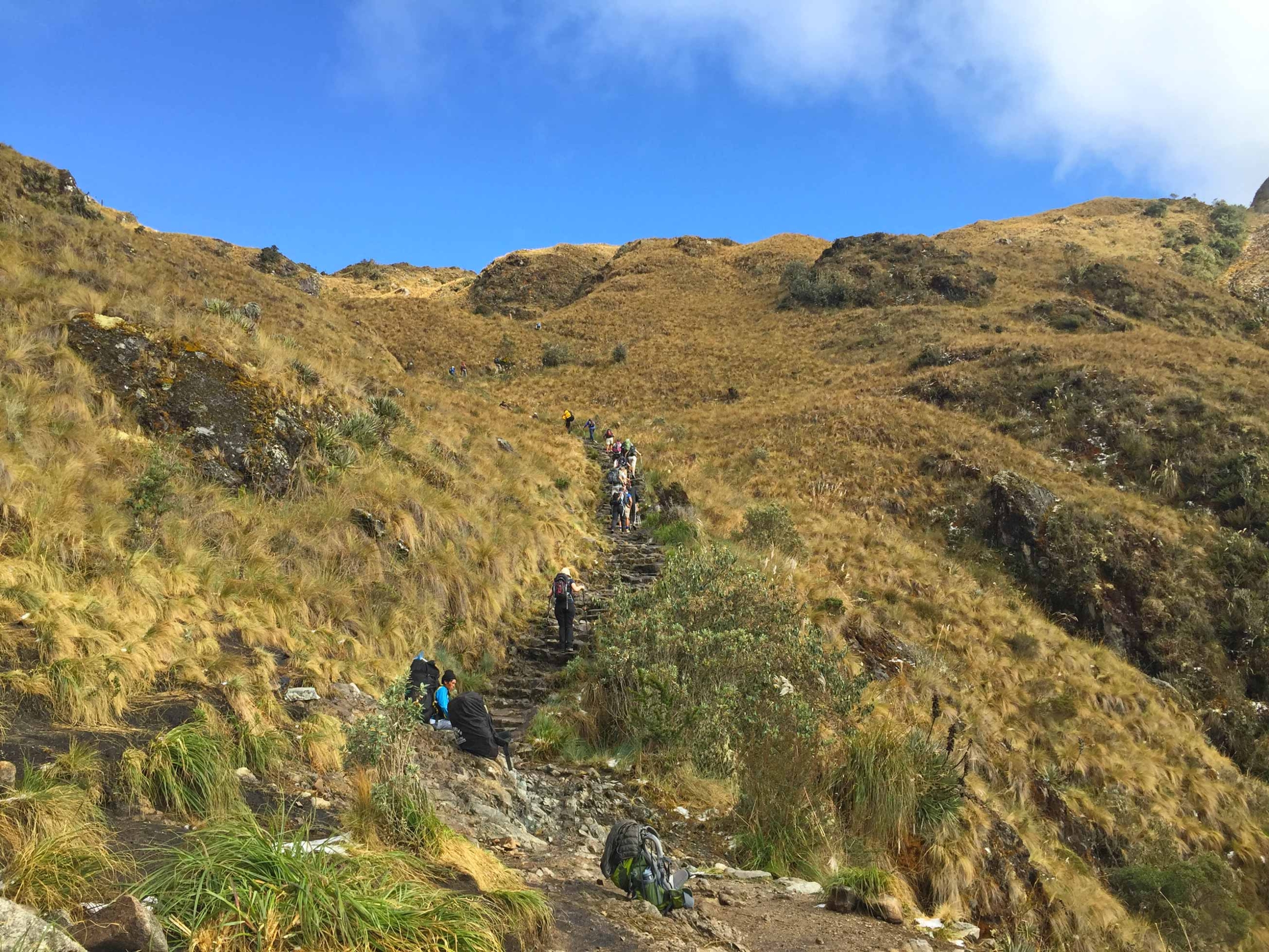 Inca trail